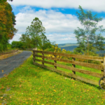 Country Trails Worth Exploring for Anyone Seeking a Slower Pace Outdoors