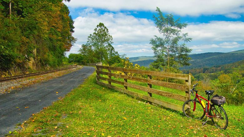 Country Trails Worth Exploring for Anyone Seeking a Slower Pace Outdoors