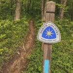 Why More Americans Are Rediscovering the Quiet Beauty of Country Trails