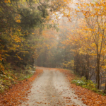 Country Trails Across the U.S.: Routes That Reveal the Character of Each Region