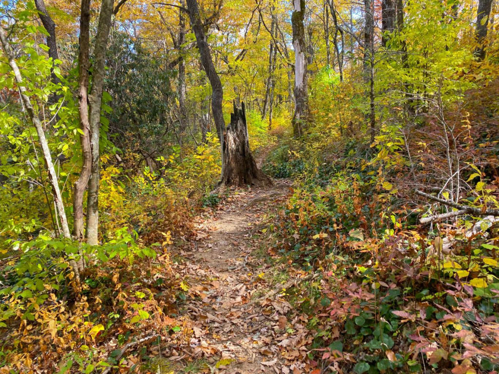 From Farmland to Forest Paths: The Many Faces of America’s Country Trails
