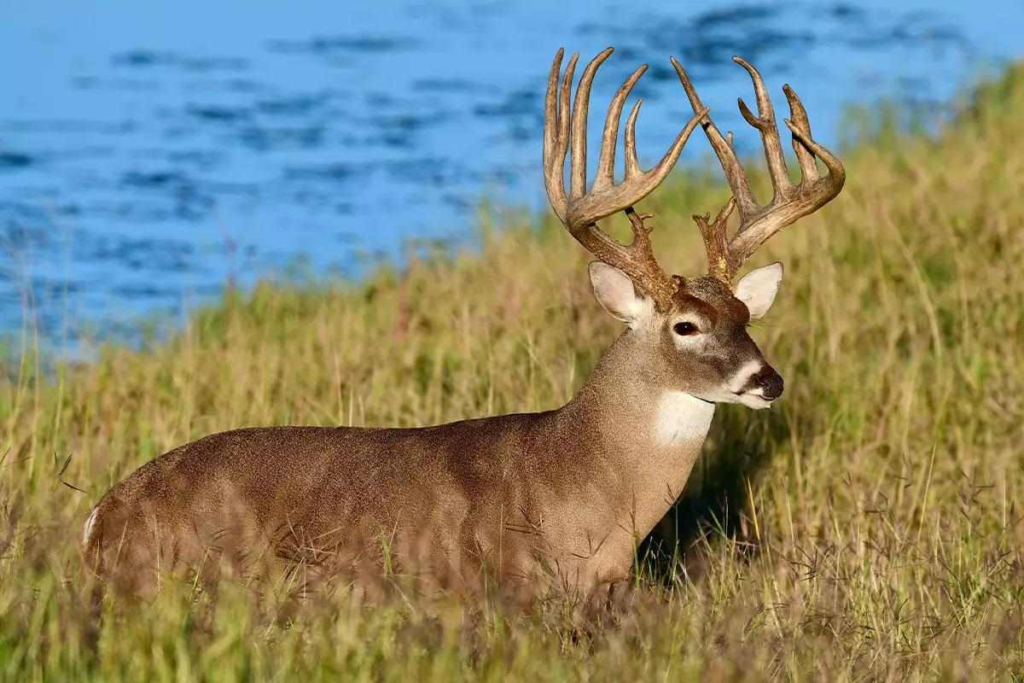 What First-Time Visitors Often Notice About Walking Country Trails
