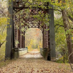 Exploring Country Trails: Where Local History Meets Natural Beauty