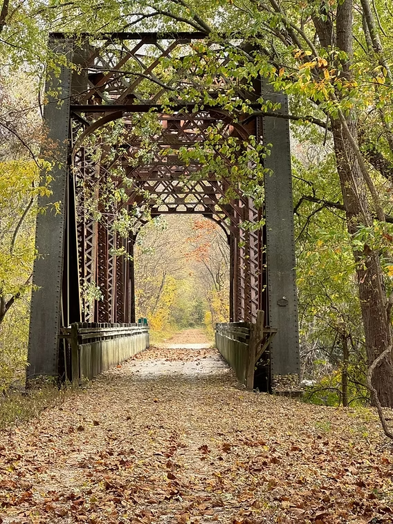 Exploring Country Trails: Where Local History Meets Natural Beauty