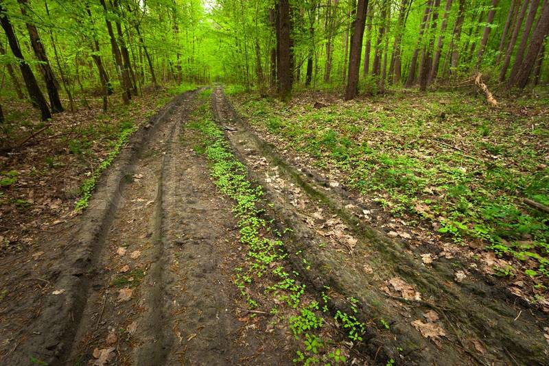 Country Trails in Every Season: What Makes Each Time of Year Unique