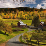 Country Trails and Quiet Escapes: Why More Americans Are Rediscovering Rural Travel