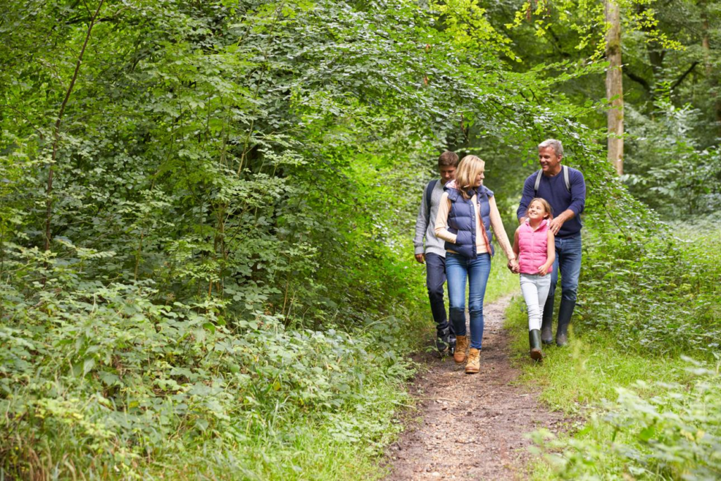 Beyond the Scenic Route: How Country Trails Are Changing the Way People Experience the Outdoors