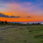 The Country Trails Americans Keep Returning To—and What Makes Them So Memorable