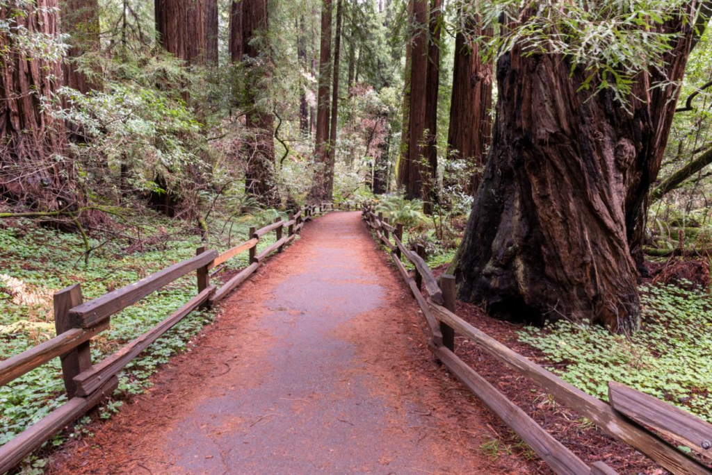 The Stories Hidden Along Country Trails Across the U.S.—And Why They Still Matter Today