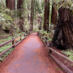 The Stories Hidden Along Country Trails Across the U.S.—And Why They Still Matter Today